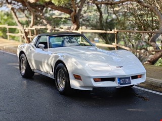 1981 | CHEVROLET CORVETTE C3 'STINGREY' | TOP OF THE RANGE MODEL | PASSED AS CLASSIC €8 LICENSE | MINT CONDITION!